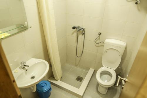 a bathroom with a shower and a toilet and a sink at GRAB ethno village and camp in Šćepan-Polje