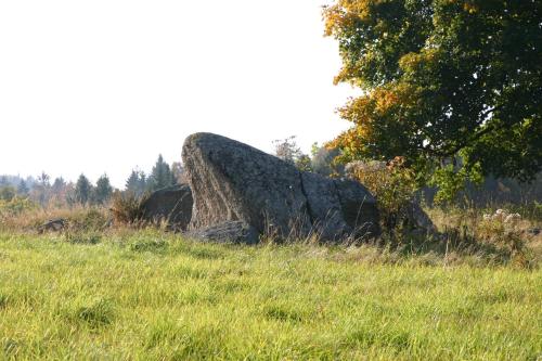a large rock sitting in a grassy field at Jeleni chata Skladanka in Lučany nad Nisou