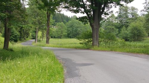 an empty road in the middle of a field at Olivin Kytlice in Kytlice