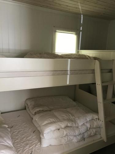 Ce dortoir comprend 2 lits superposés et une fenêtre. dans l'établissement Guse gård, à Kvinesdal