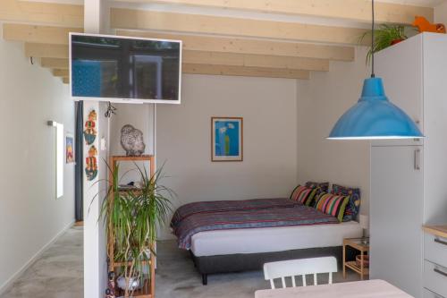 Μια τηλεόραση ή/και κέντρο ψυχαγωγίας στο Studio South Beach with garden and free parking
