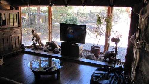 Televizors / izklaižu centrs naktsmītnē Lilaste