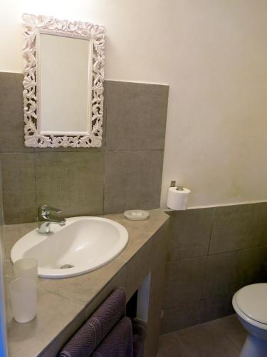 une salle de bain avec un lavabo et un miroir et des toilettes dans l'établissement Les Oliviers, à Moustiers-Sainte-Marie