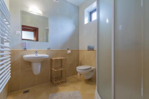 a bathroom with a toilet and a sink at Osada Pienińska in Krościenko