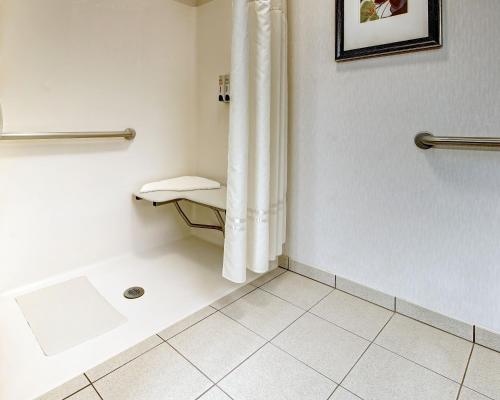 Bilik mandi di Phoenix Inn Suites Albany