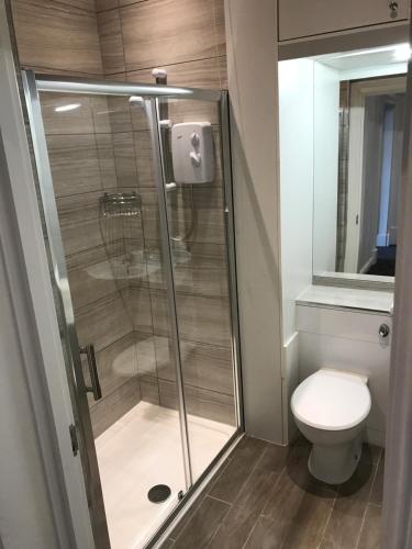 a shower stall in a bathroom with a toilet at 19 Rodney Street Apartments in Liverpool