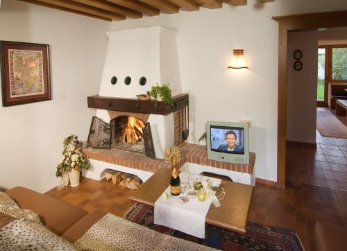 a living room with a fireplace and a tv at Appartement Rofan in Pertisau