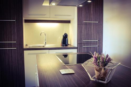Kuchyň nebo kuchyňský kout v ubytování Mobile Home Palma