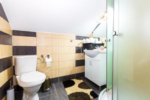 a bathroom with a toilet and a sink at Pensiunea Avy in Haţeg