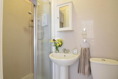 a bathroom with a toilet and a sink and a shower at Mansfield Apartment in Hawick