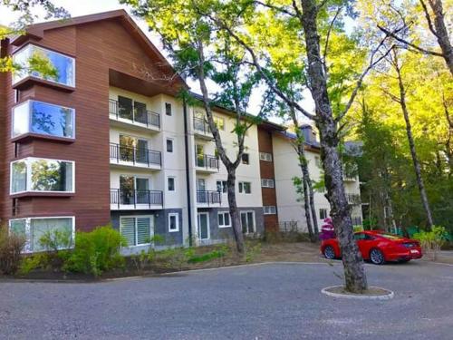 Condominio Pucon Andino