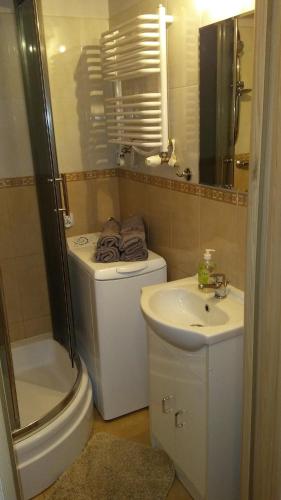 a bathroom with a toilet and a sink and a shower at Apartament w Oliwie in Gdańsk