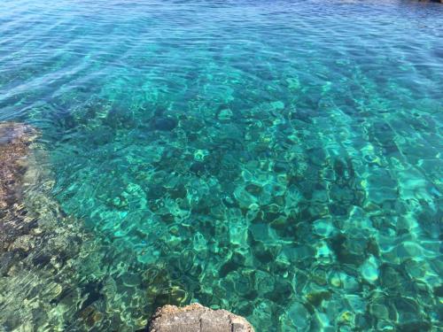 a large pool of clear blue water with rocks at Almare' B&b in Torre Santa Sabina