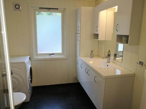 a bathroom with a sink and a washing machine at Steinshølen Holiday Home in Flåm