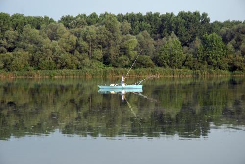 Φυσικό τοπίο κοντά σε αυτό το ξενοδοχείο