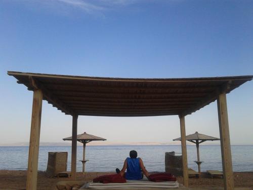 a woman sitting on the beach looking at the ocean at Daniela Diving Resort Dahab in Dahab