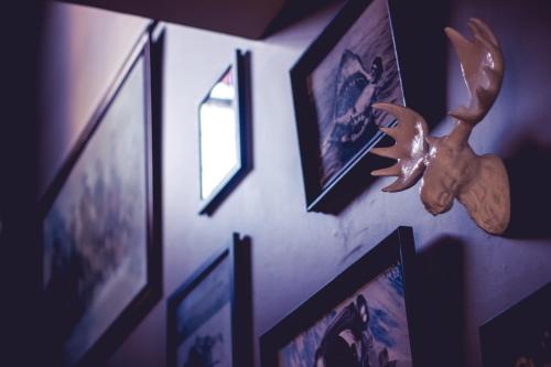 a wall with pictures and a toy deer on it at The Greenroof in Newcastle
