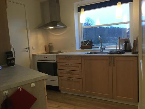a kitchen with a sink and a window at Julsø lejligheden in Silkeborg