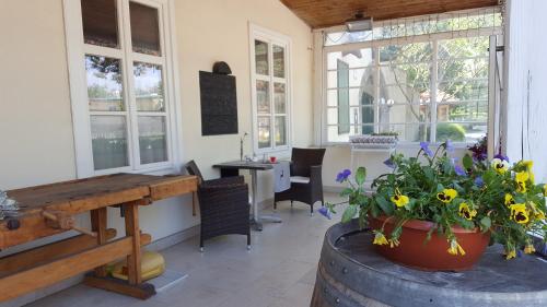 Un jardín fuera de Wildenauer's