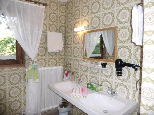 a bathroom with a sink and a mirror at Haus Rohregger in Mittersill
