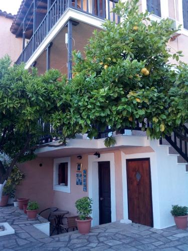 a building with a tree on top of it at Sofia's Garden by Booking Kottas in Skopelos Town