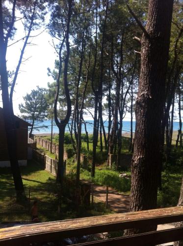 Gallery image of Green Cottage Shekvetili in Ureki