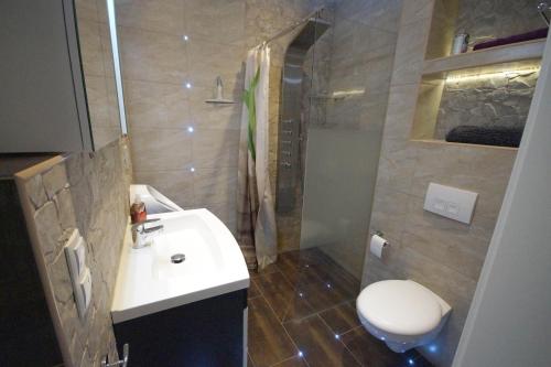 a bathroom with a sink and a toilet and a shower at Pension / Zimmervermietung Wasbek in Wasbek