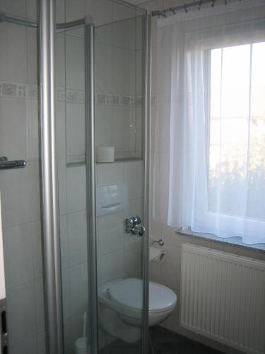 a bathroom with a toilet and a window at Haus Lorenz, Ferienwohnungen in Immenstaad am Bodensee