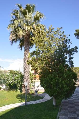a palm tree in a park next to a sidewalk at Biblos e Mare in Taranto