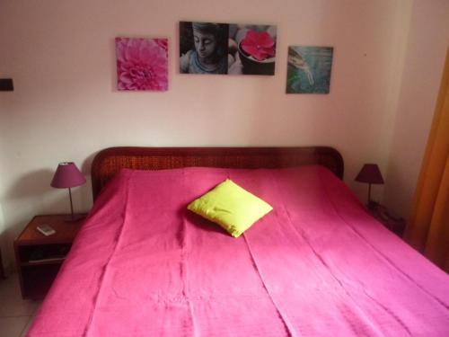 ein Schlafzimmer mit einem rosa Bett und einem gelben Kissen in der Unterkunft HAMEAU DE BEAUREGARD à Sainte Anne in Sainte-Anne