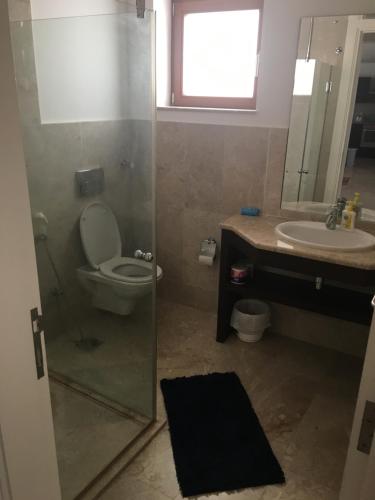 ein Bad mit einem WC, einem Waschbecken und einer Dusche in der Unterkunft Apartment in Jebel Sifah in As Sīfah