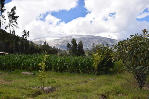 a field of corn with a mountain in the background at La Casita de mi Abuela in Mancos