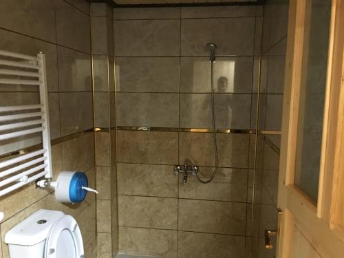 a bathroom with a shower with a toilet at Kuloğlu Apart 2 in Uzungöl