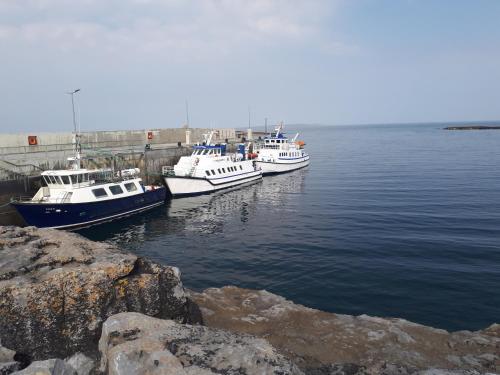 three boats docked at a dock in the water at Doolin Farm Apartment in Doolin