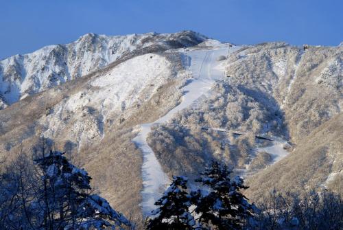 a snow covered mountain with a river on it at Bears Den Mountain Lodge in Hakuba