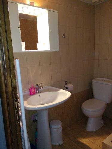 a bathroom with a sink and a toilet and a mirror at Guest House Vaso in Órma