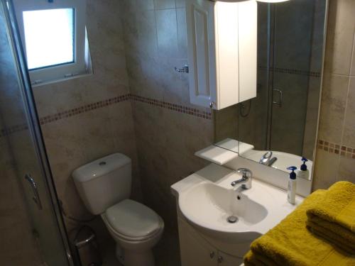 a bathroom with a sink and a toilet and a mirror at Three Bedroom Country House in Magoúla