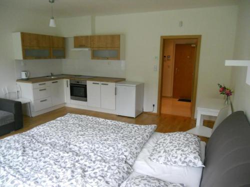 Kuchyň nebo kuchyňský kout v ubytování Apartment David Garden Towers