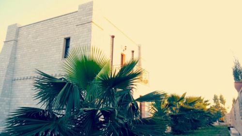 a group of palm trees in front of a building at Albadido in Campomarino