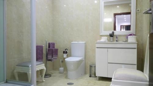 Un baño con inodoro, lavabo y espejo. en Alojamento Requinte, en Oporto