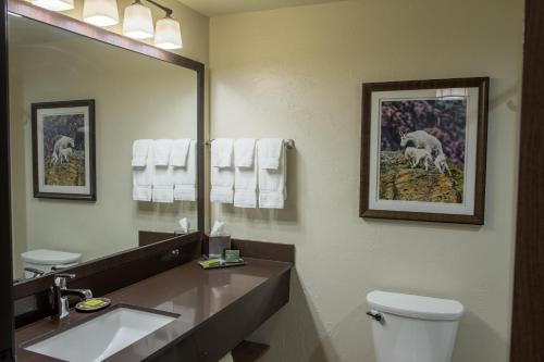 a bathroom with a sink and a toilet and a mirror at Cedar Creek Lodge & Conference Center in Columbia Falls