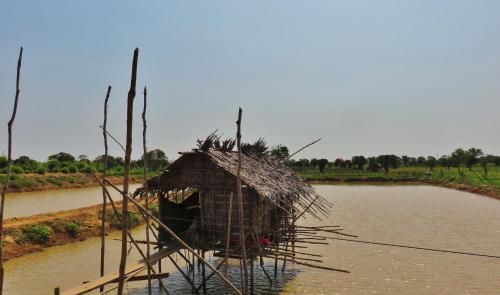a hut in the middle of a body of water at ST 63 Home Stay & Tour Kampong Khleang in Kâmpóng Khleăng
