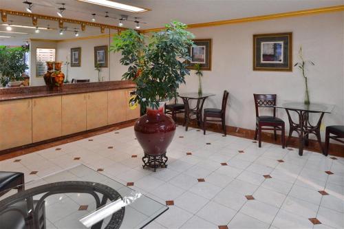 a lobby with a large vase with a plant in it at Americas Best Value Inn & Suites - Fontana in Fontana