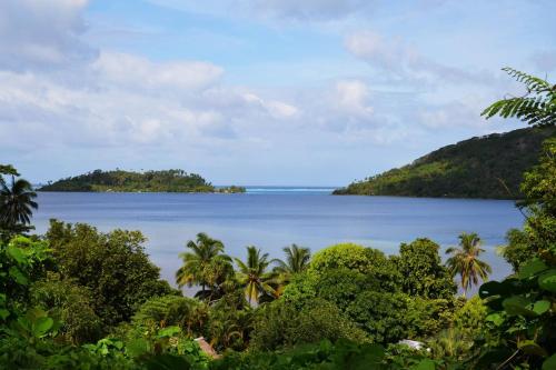 a view of a large body of water with palm trees at Pension TUPUNA in Haapu