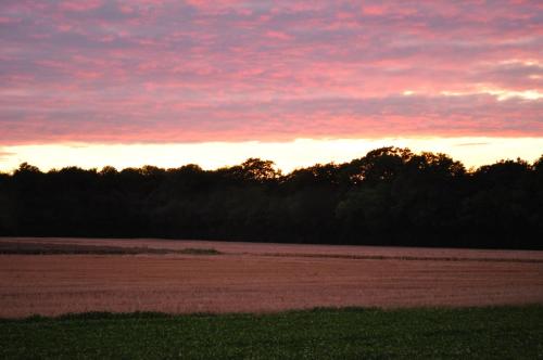 a sunset over a field with trees in the background at Koebenhovedskov Bed & Breakfast in Rødding