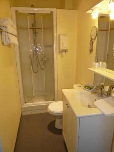 a bathroom with a shower and a toilet and a sink at Logis Le Midland in Vichy
