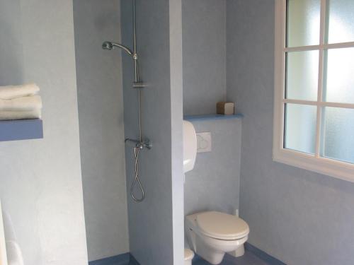 a bathroom with a toilet and a shower at Le Mississippi in Maninghem