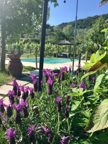 Country Room Il Moro – Photos 4