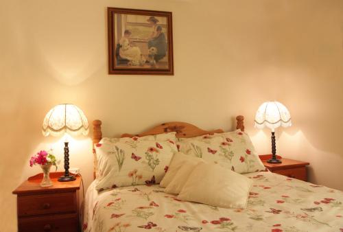 カーマーゼンにあるFferm Y Felinのベッドルーム1室(ランプ2つ、壁に絵付)