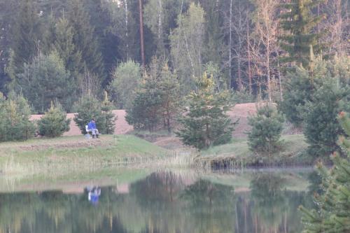 a person sitting on a bench next to a lake at Viesu māja Forrest in Dzimtmisa